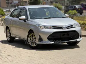 Toyota Axio 2019 Silver