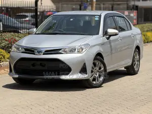 Toyota Axio 2019 Silver