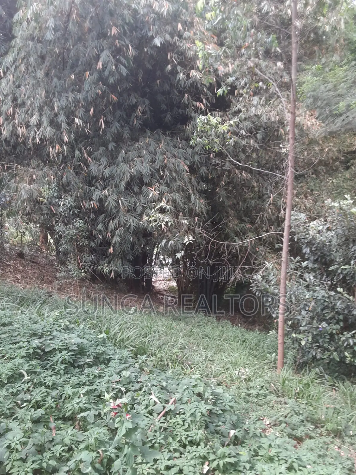 0.5 Acre Plot in Old Kitisuru for Sale