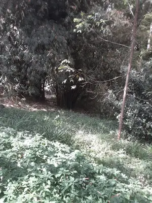 0.5 Acre Plot in Old Kitisuru for Sale