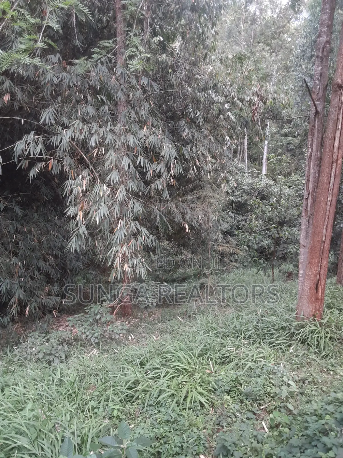 0.5 Acre Plot in Old Kitisuru for Sale