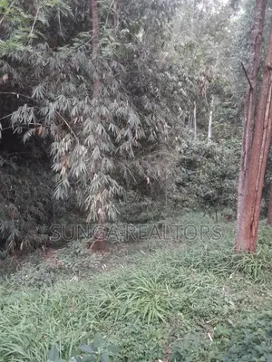 0.5 Acre Plot in Old Kitisuru for Sale