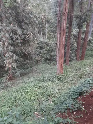 0.5 Acre Plot in Old Kitisuru for Sale