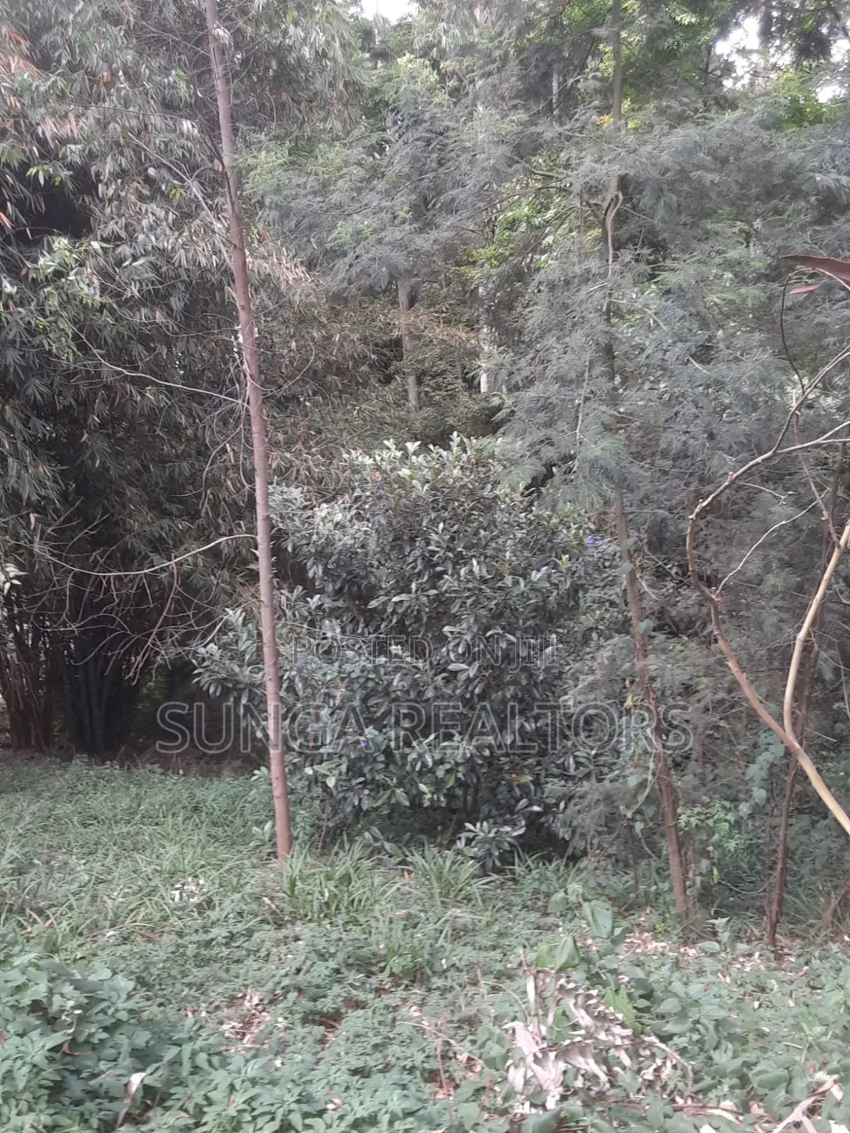 0.5 Acre Plot in Old Kitisuru for Sale