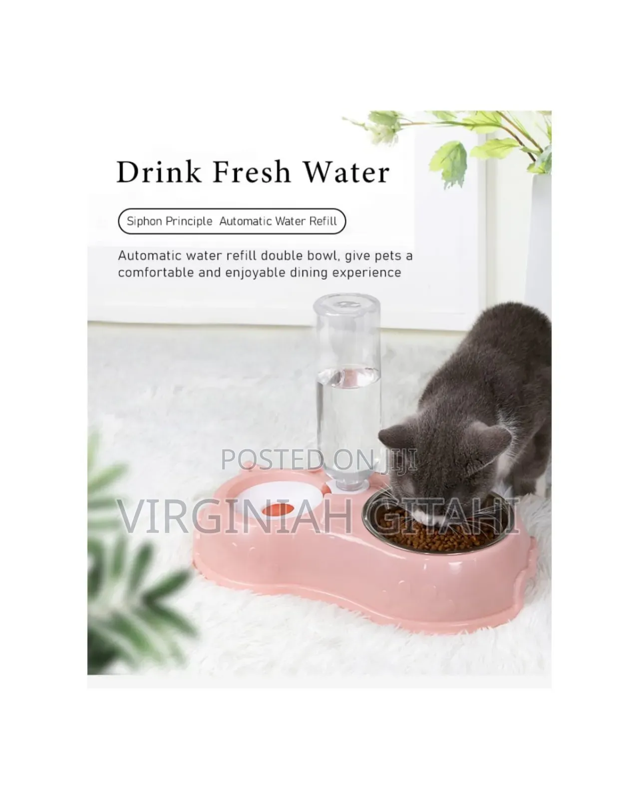 Dog ,Cat *Automatic Single Pet Bowl Plus Water Dispenser*