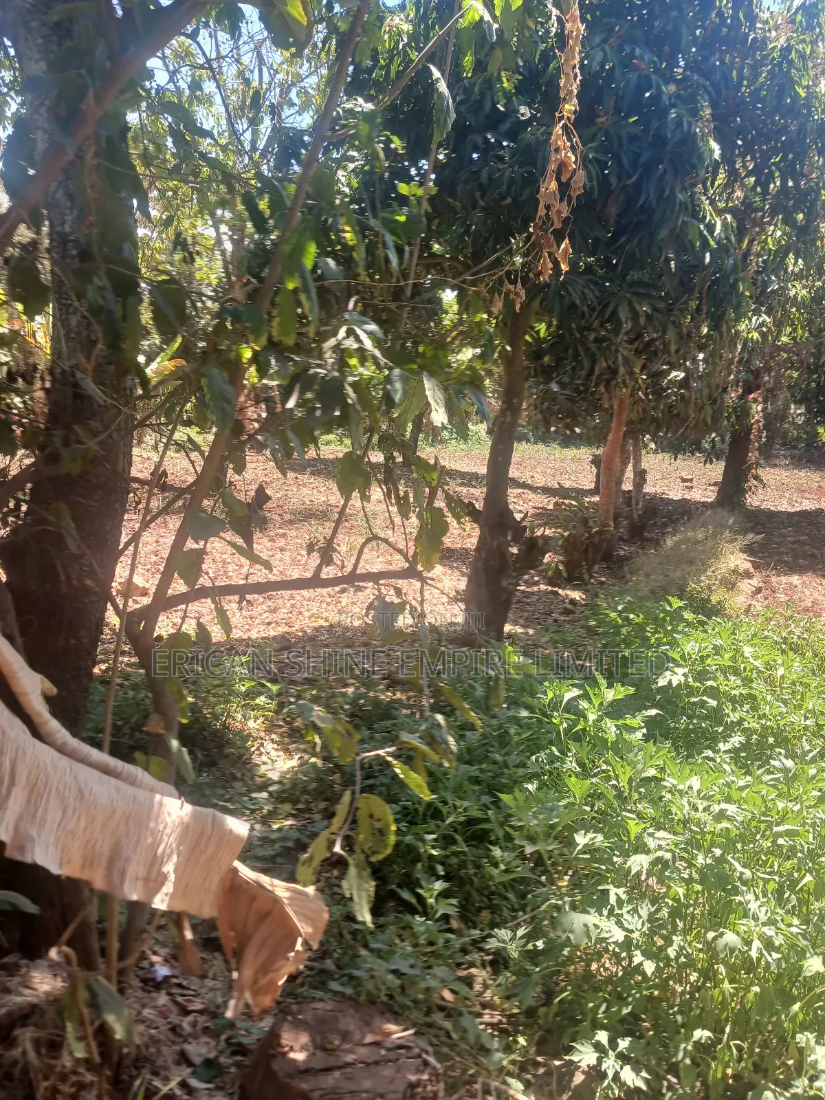 The Prime Land for Lease in Waiyaki Way