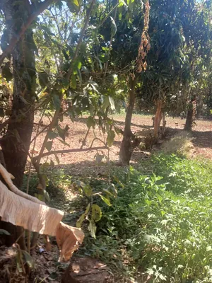 The Prime Land for Lease in Waiyaki Way
