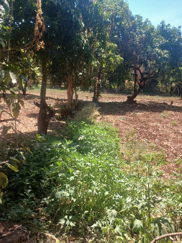 The Prime Land for Lease - thumbnail 3