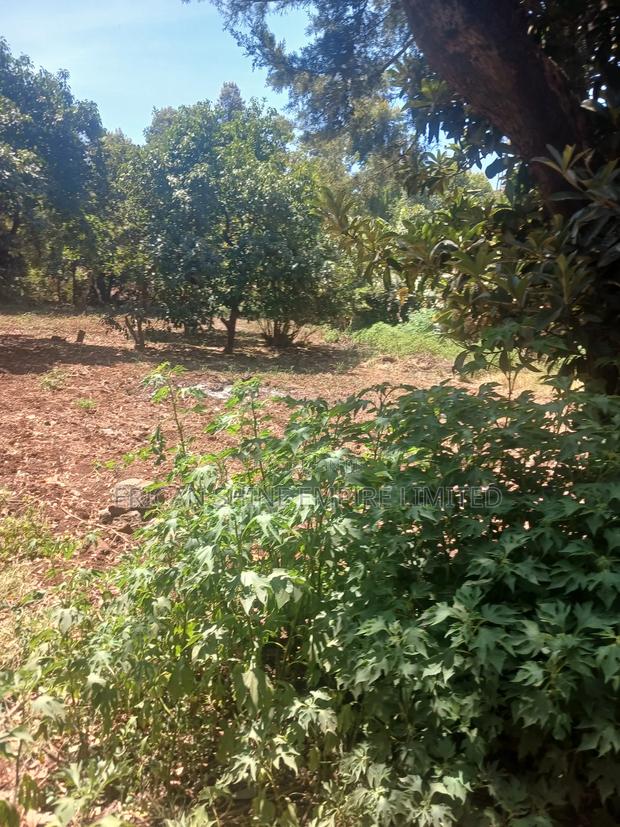 The Prime Land for Lease - thumbnail 4