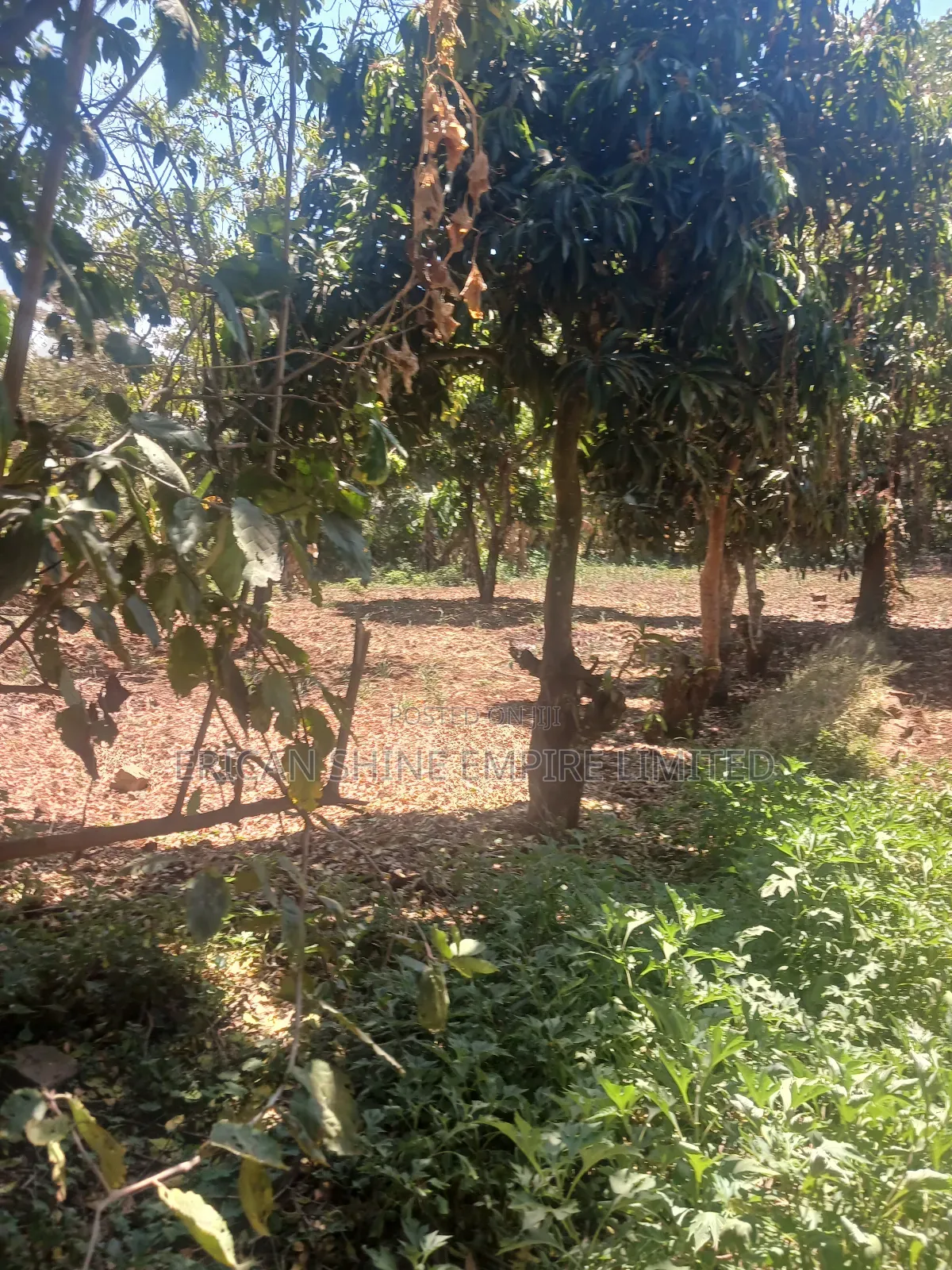 The Prime Land for Lease in Waiyaki Way