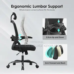 Ergonomic Orthopedic Office Chair