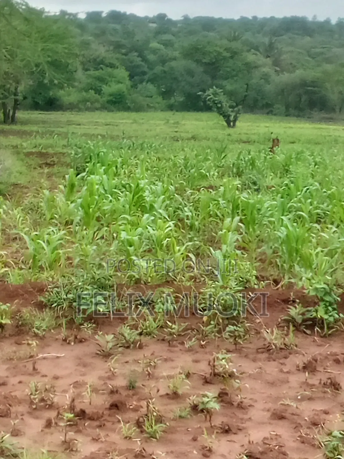 5acres on Sale Makueni Matiliku