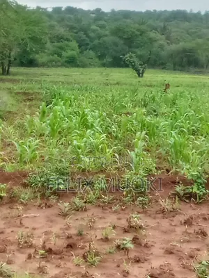 5acres on Sale Makueni Matiliku