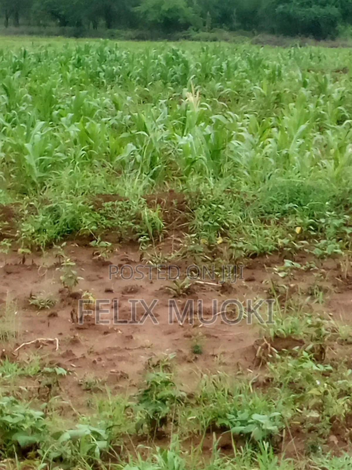 5acres on Sale Makueni Matiliku