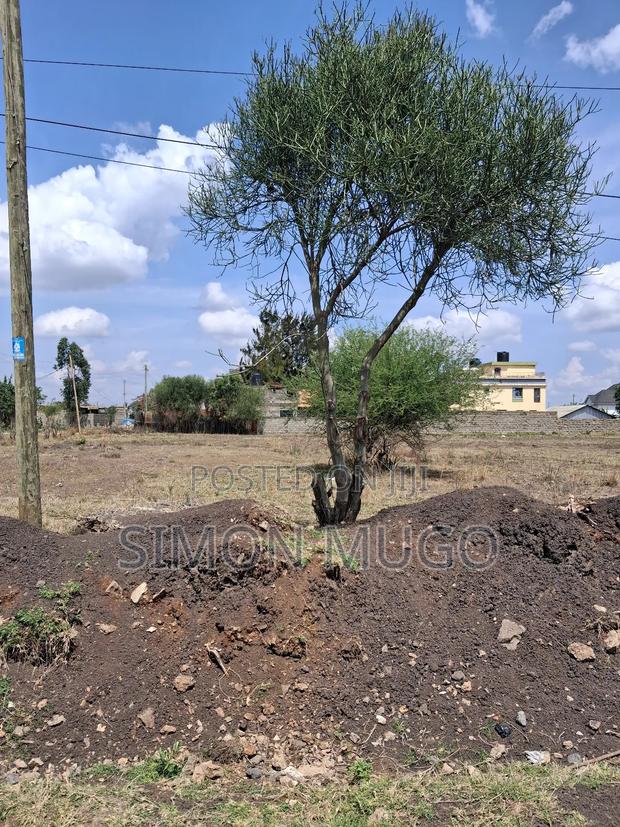 Marurui Windsor Northern Bypass Commercial 1/2ac - thumbnail 4