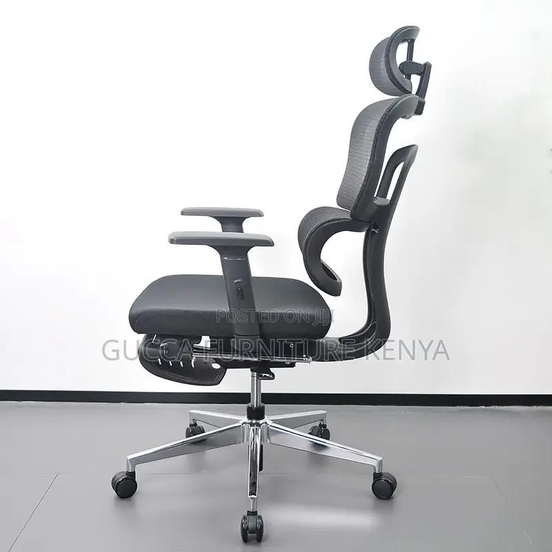 Executive Office Orthopedic Chair With Footrest