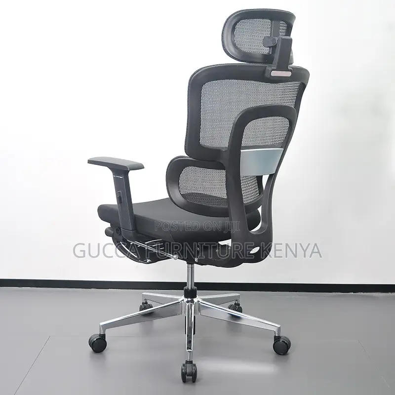 Executive Office Orthopedic Chair With Footrest