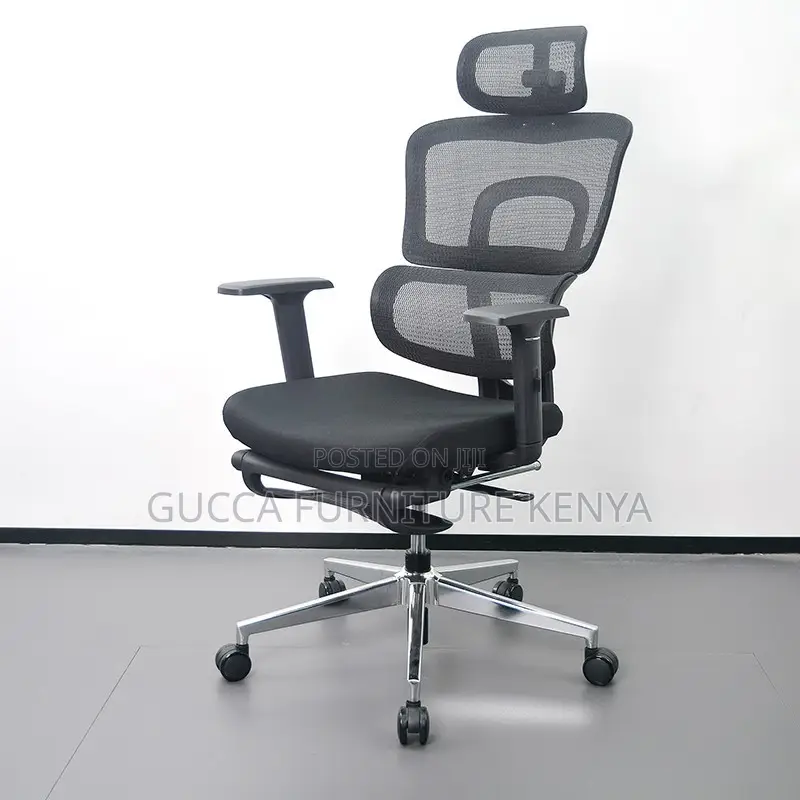 Executive Office Orthopedic Chair With Footrest