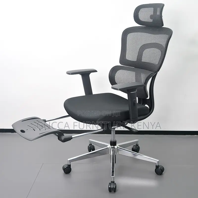 Executive Office Orthopedic Chair With Footrest