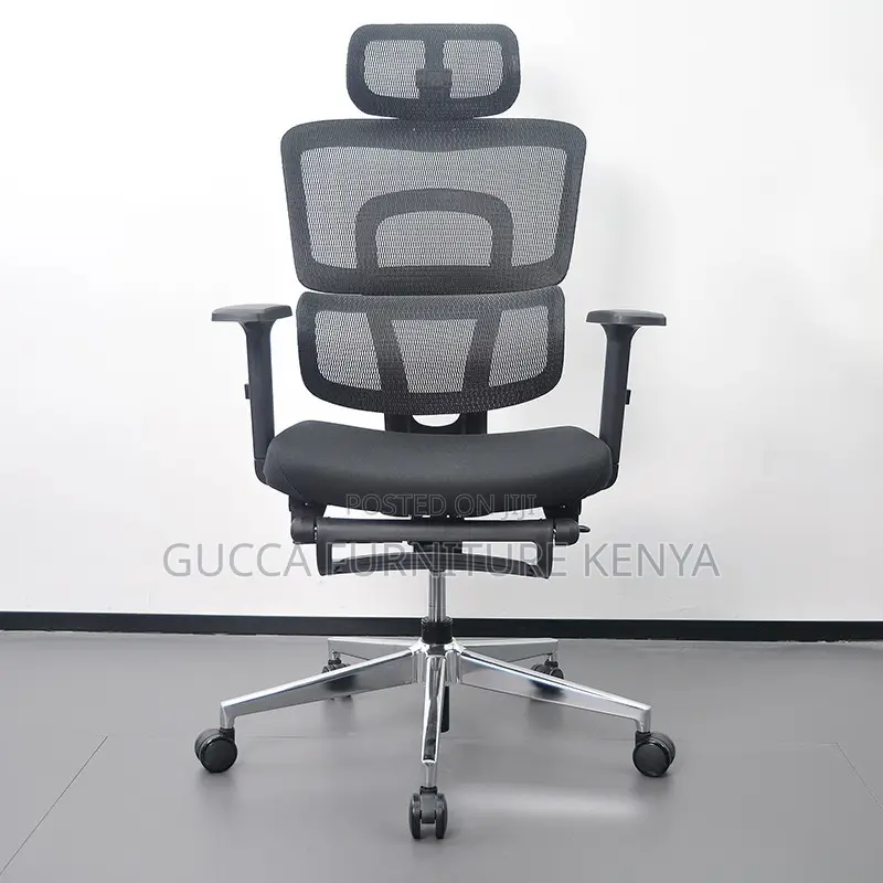 Executive Office Orthopedic Chair With Footrest