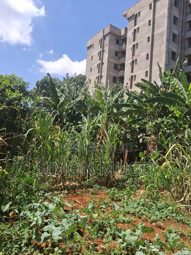 Roysambu Thika Road Behind TRM Commercial 40x80 Plot - main view