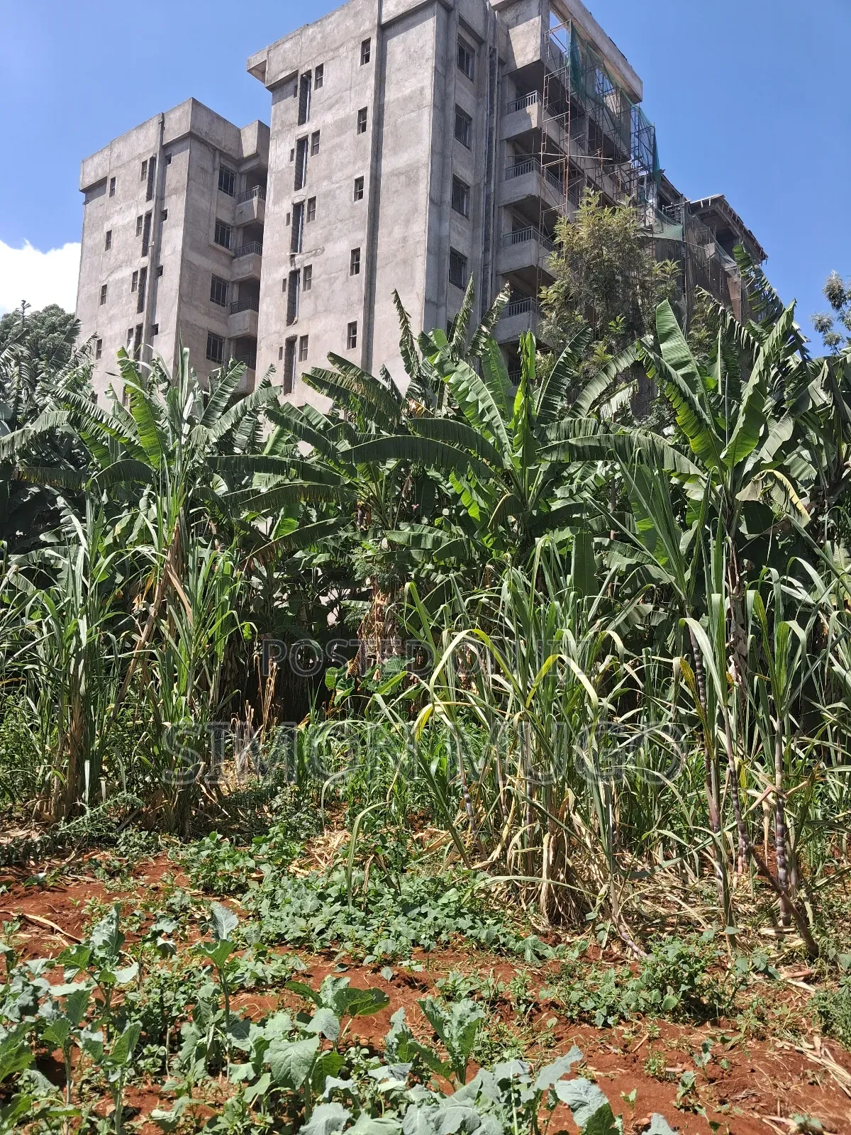 Roysambu Thika Road Behind TRM Commercial 40x80 Plot