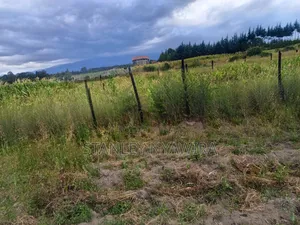 4 Acreas Nanyuki for Sale