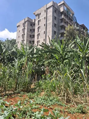 Roysambu Thika Road Behind TRM Commercial 40x80 Plot