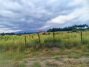 4 Acreas Nanyuki for Sale
