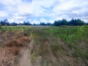 4 Acreas Nanyuki for Sale