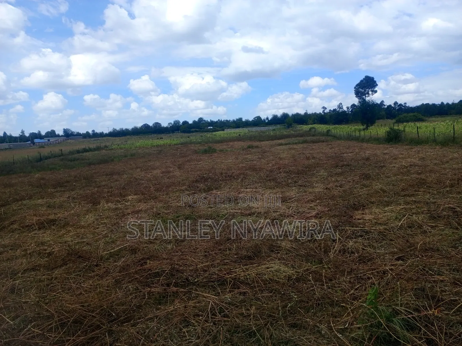 4 Acreas Nanyuki for Sale