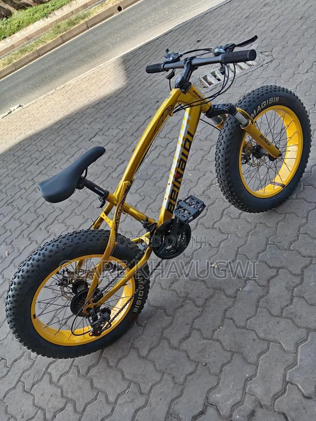 Fat Tyre Bike - main view