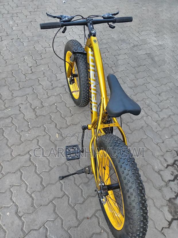 Fat Tyre Bike - thumbnail 3