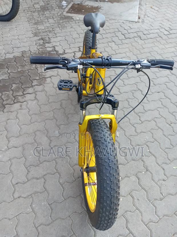 Fat Tyre Bike - thumbnail 5