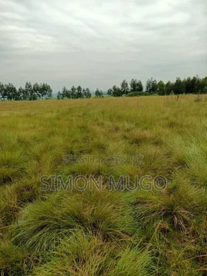 Nyahururu Mairu Inya Prime Agricultural 25 Acres on Tarmac Road