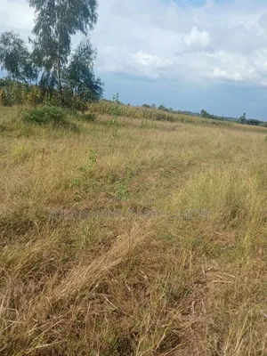2 Acres Prime Land for Sale in Ngarua -Kinamba