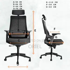 Office Chair : Executive Orthopedic Office Seat