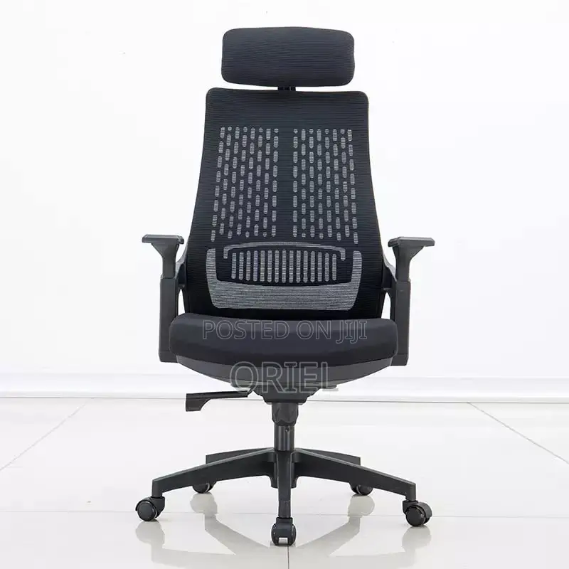 Office Chair : Executive Orthopedic Office Seat
