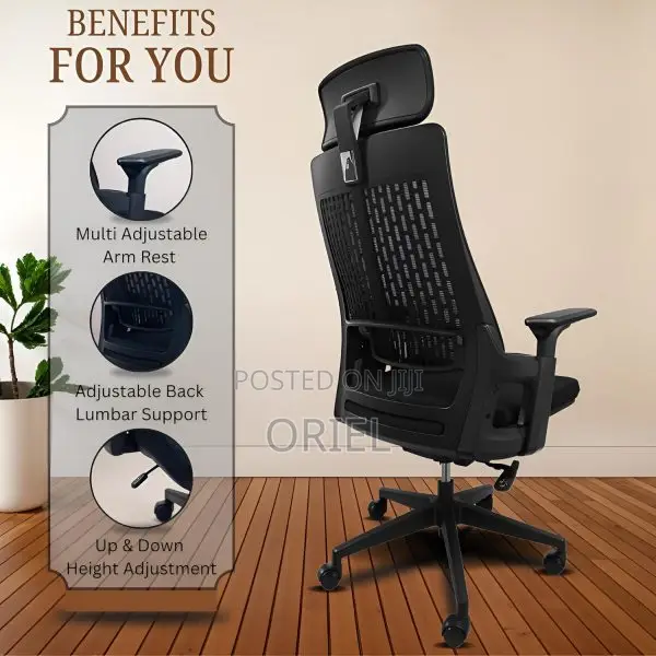 Office Chair : Executive Orthopedic Office Seat
