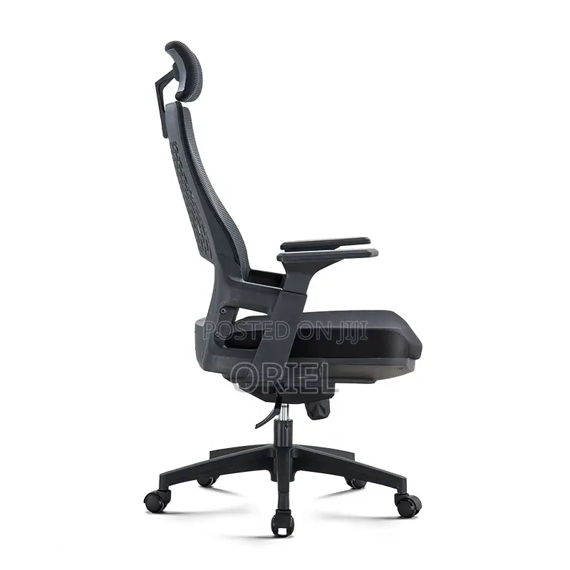 Office Chair : Executive Orthopedic Office Seat