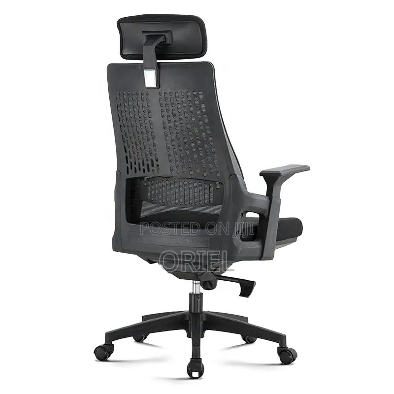 Office Chair : Executive Orthopedic Office Seat