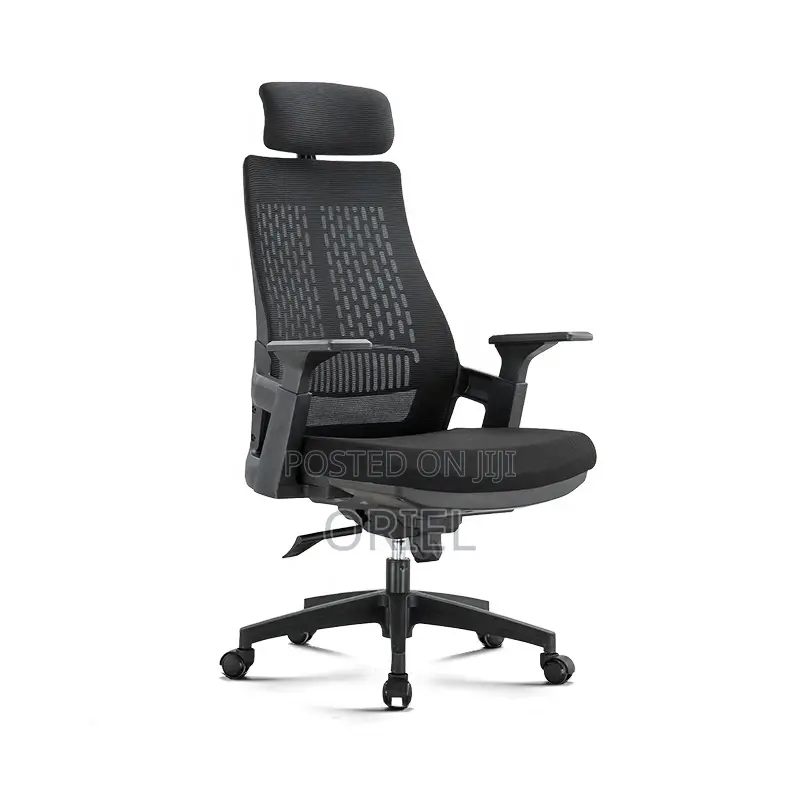Office Chair : Executive Orthopedic Office Seat