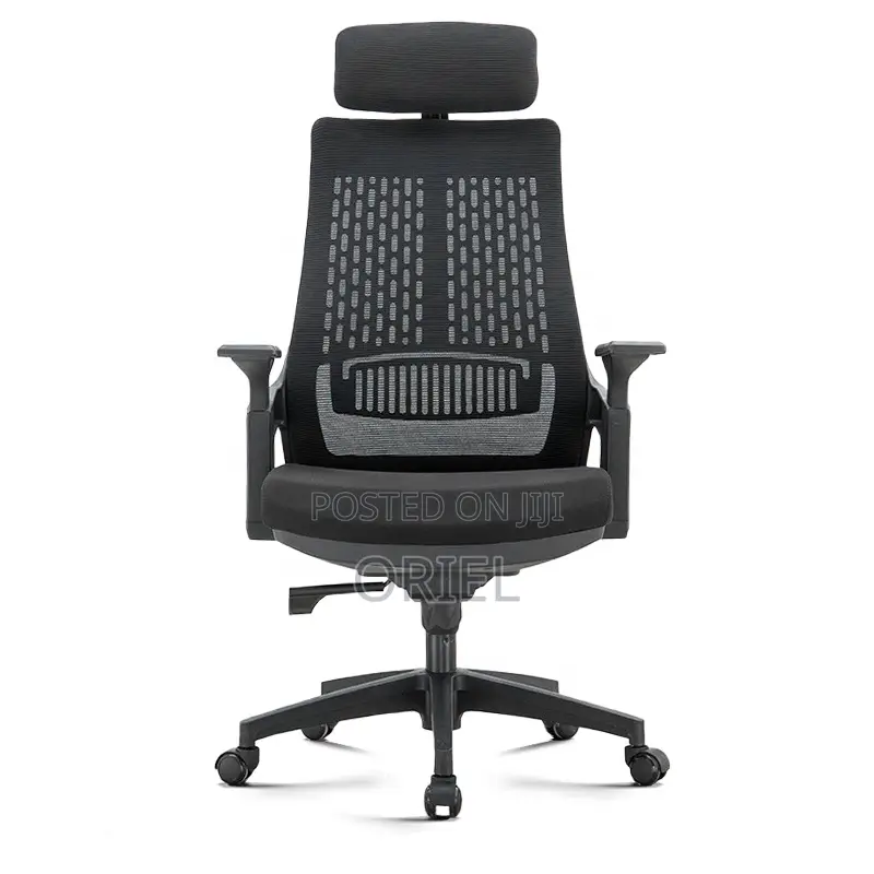 Office Chair : Executive Orthopedic Office Seat