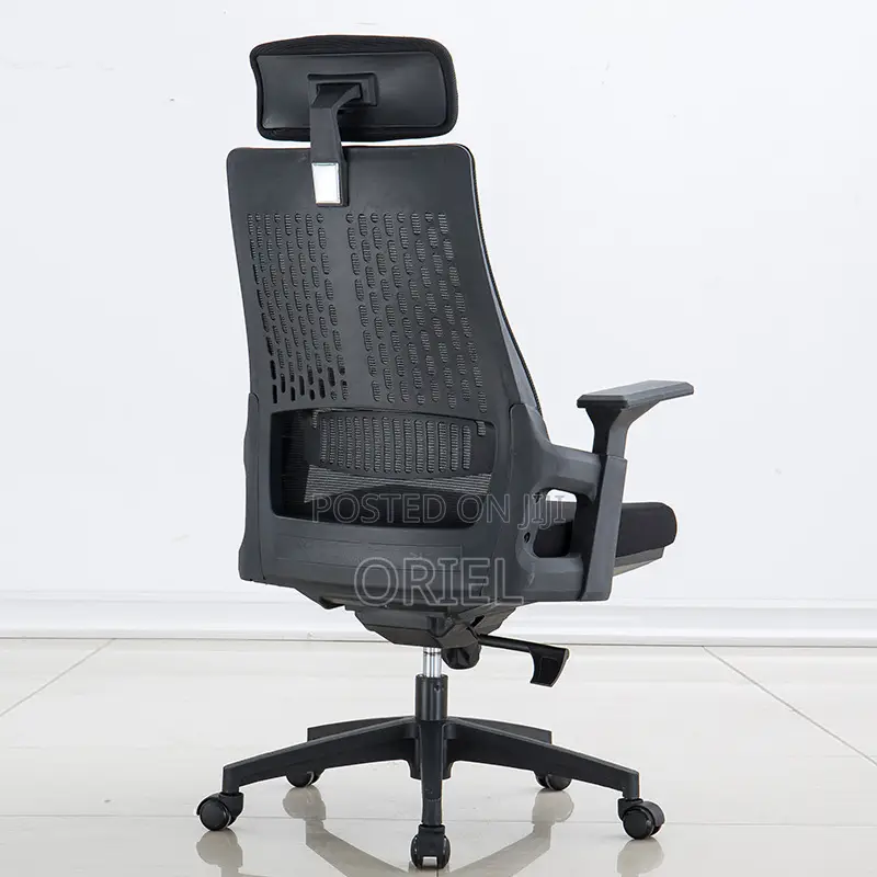 Office Chair : Executive Orthopedic Office Seat