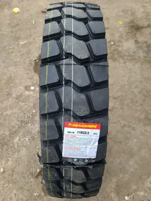 11 R22.5 Roadshine Sr617n 18pr Diff Mud-Truck