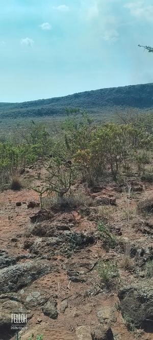 Land on Sale - thumbnail 2