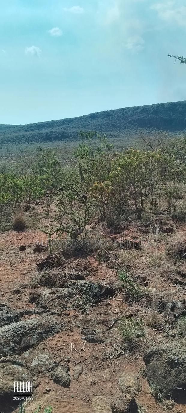 Land on Sale - main view