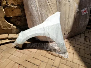 Volvo Wing/Fender