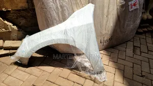 Volvo Wing/Fender