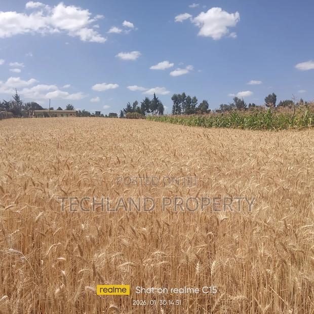 1acre Tanyai Kieni Nyeri .